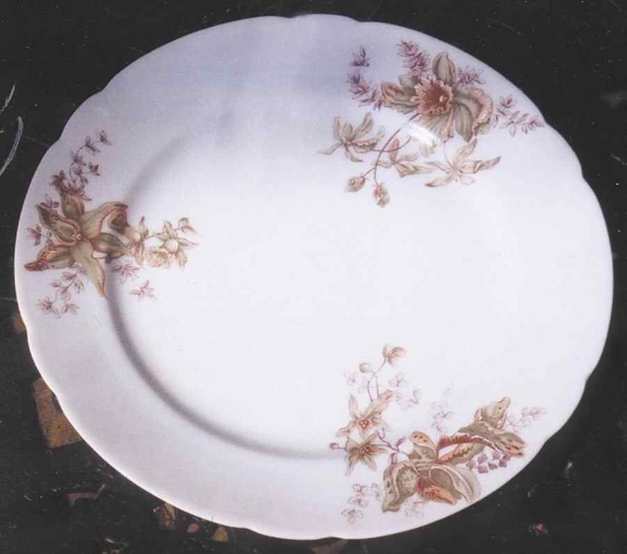 VNN61 Dinner Plate by Vienna-1