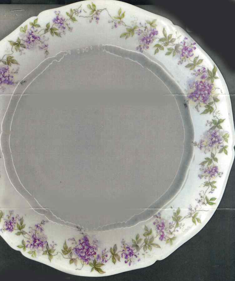 VNN37 Dinner Plate by Vienna-1