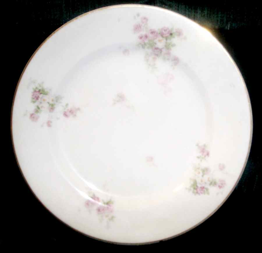 VNN45 Dinner Plate by Vienna-1