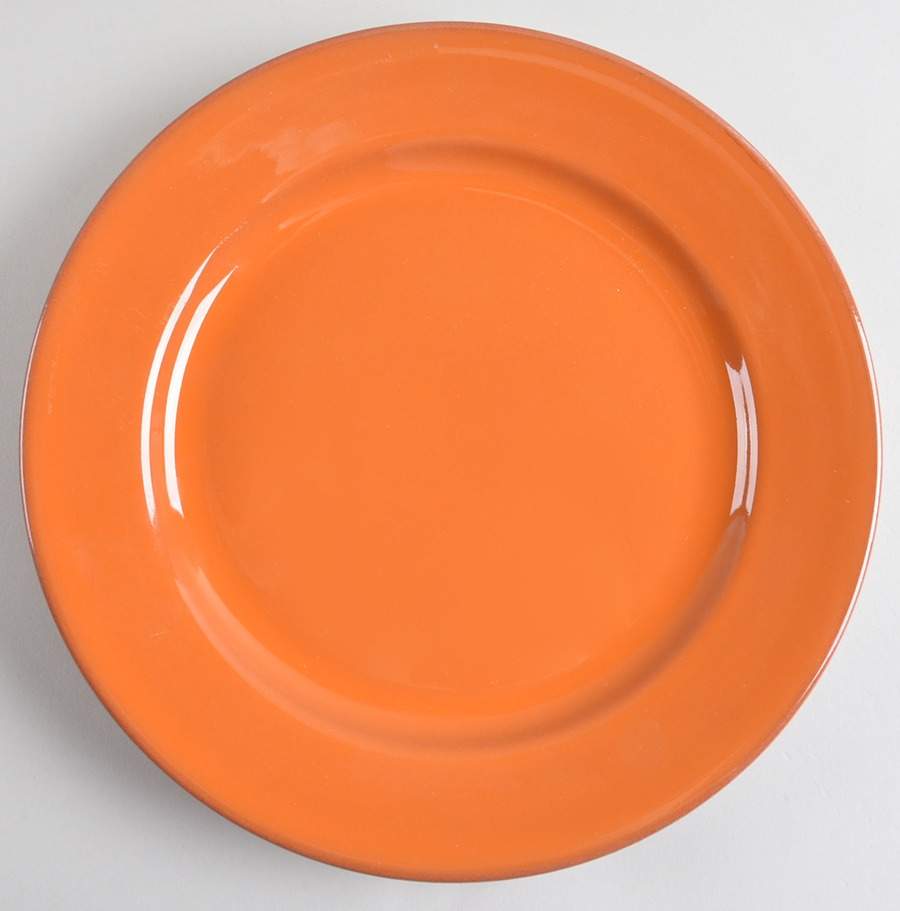 Terra Dinner Plate by Val Do Sol-1