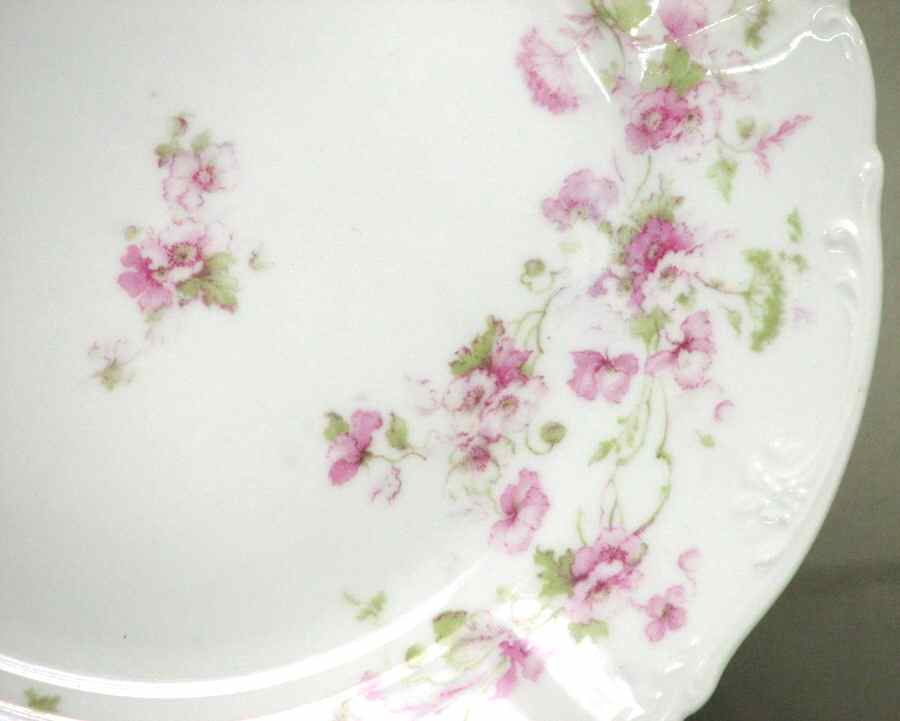 VNN64 Dinner Plate by Vienna-1