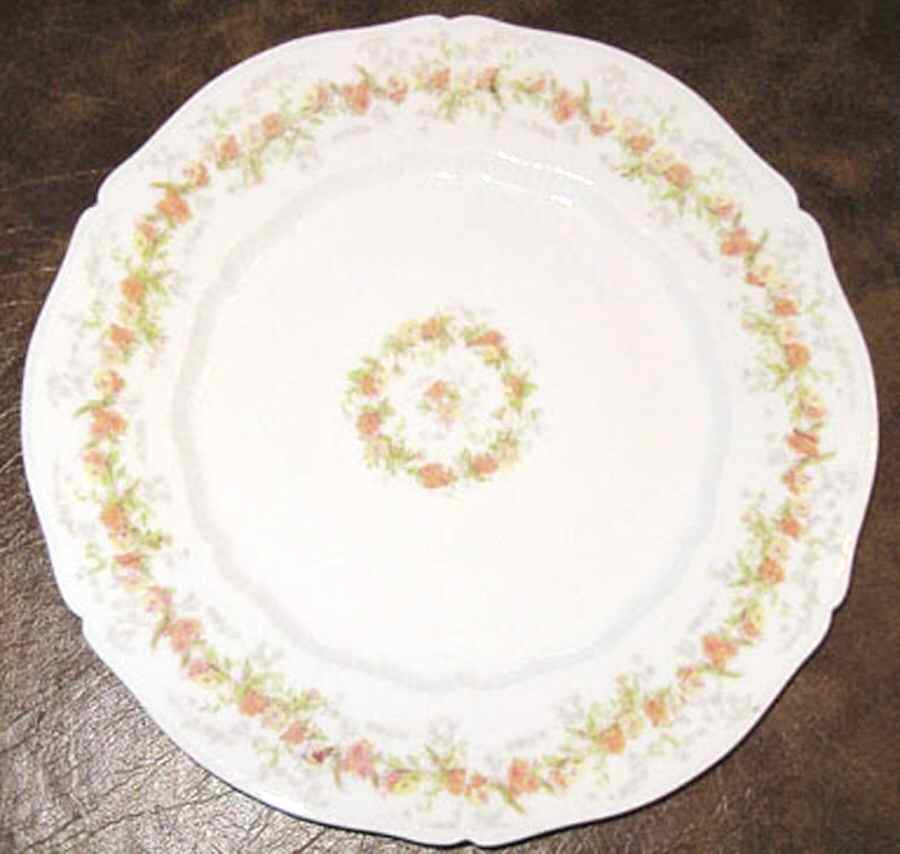 VNN78 Dinner Plate by Vienna-1