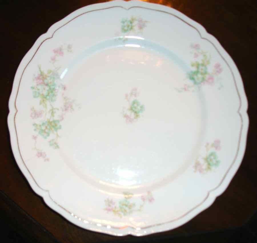 VNN79 Dinner Plate by Vienna-1