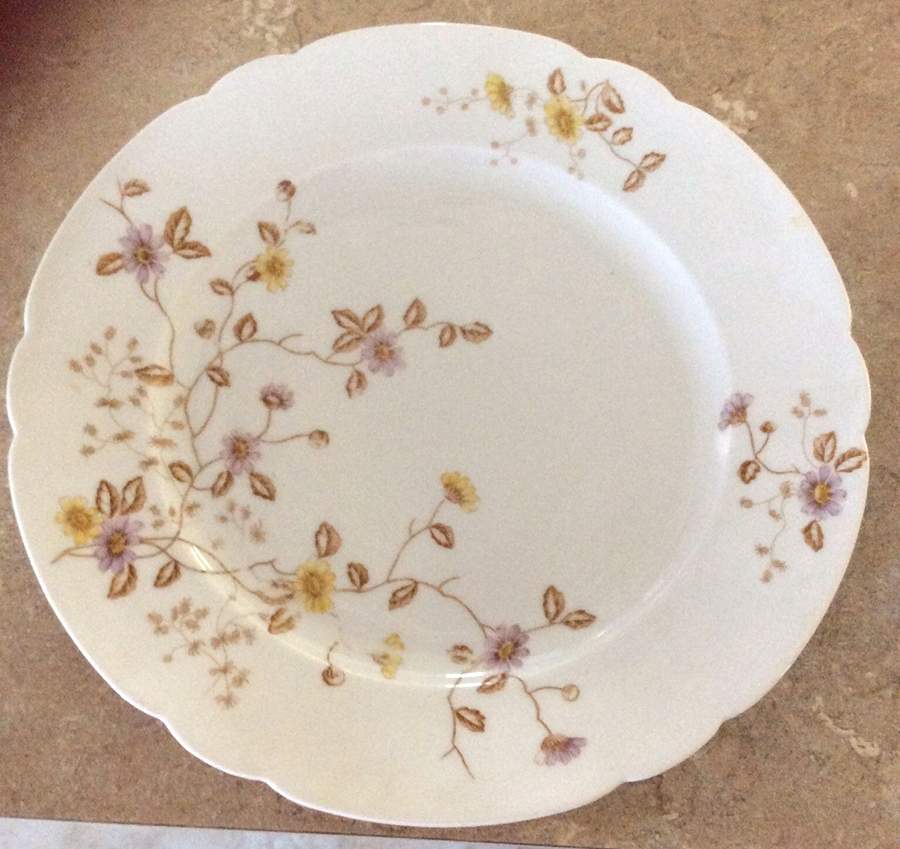 VNN91 Dinner Plate by Vienna-1