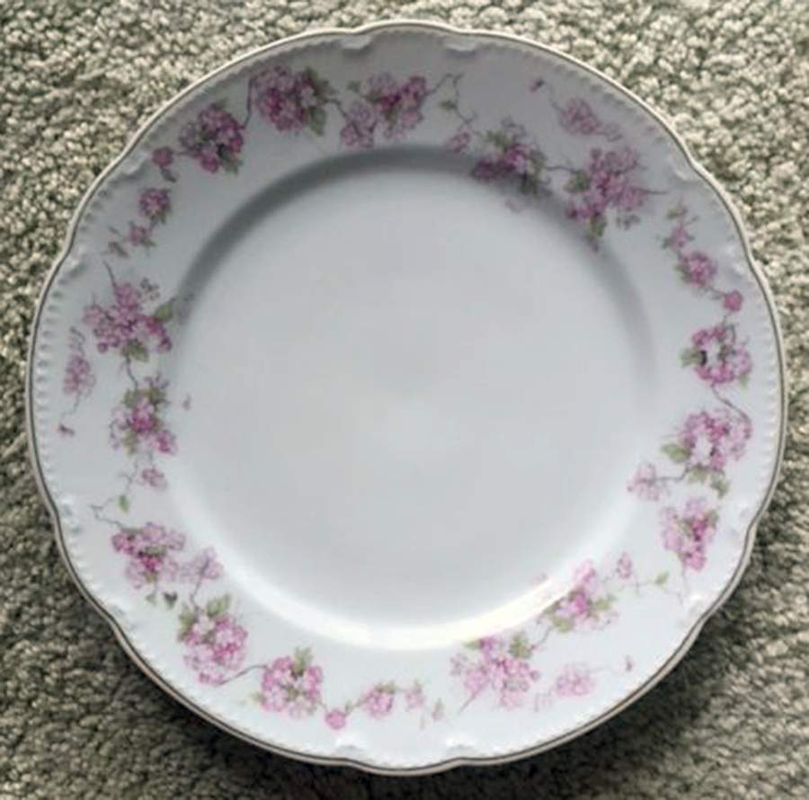 VNN95 Dinner Plate by Vienna-1