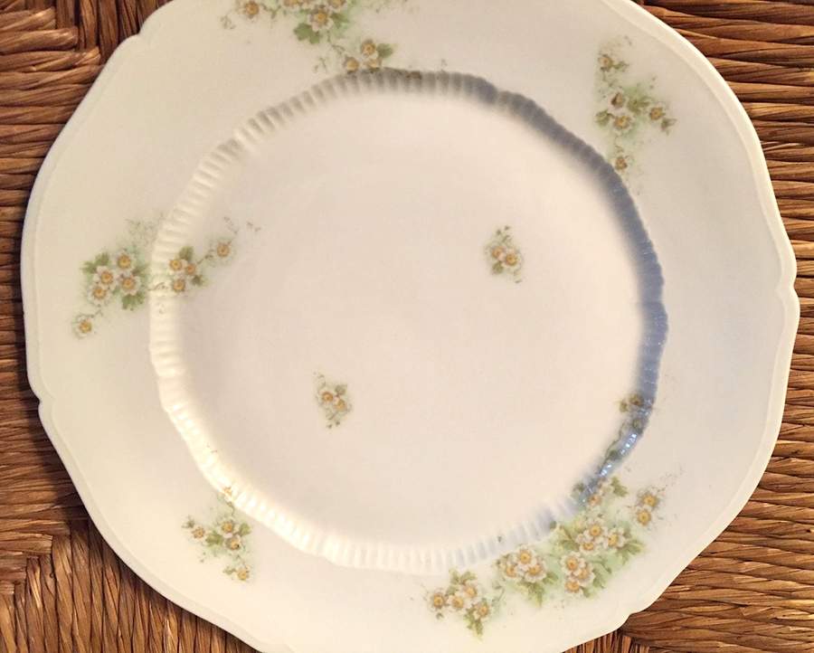 VNN96 Dinner Plate by Vienna-1