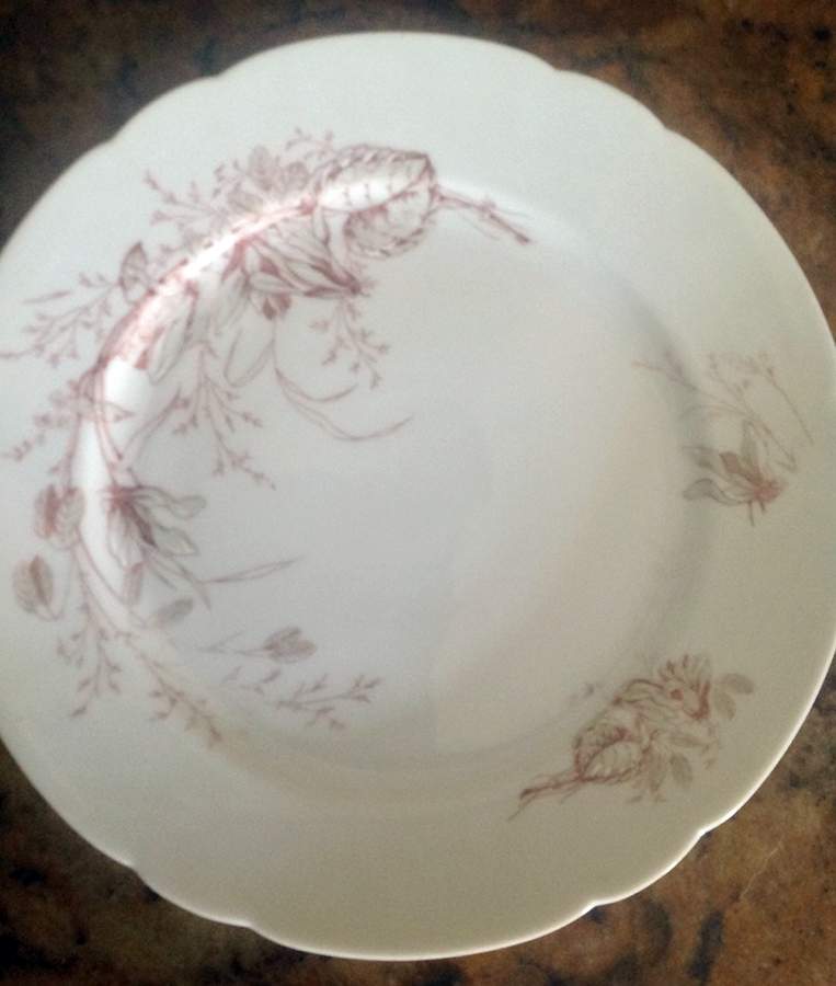 8605 Dinner Plate by Vienna-1