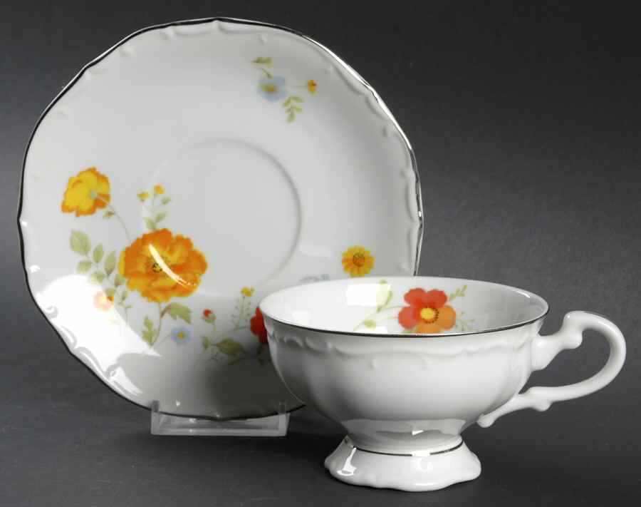Tivoli Garden Footed Cup & Saucer Set by Wellin-1