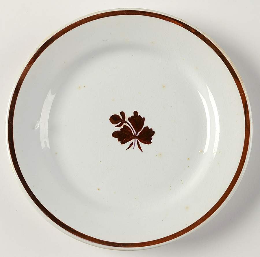 Tea Leaf Bread & Butter Plate by Wedgwood-1