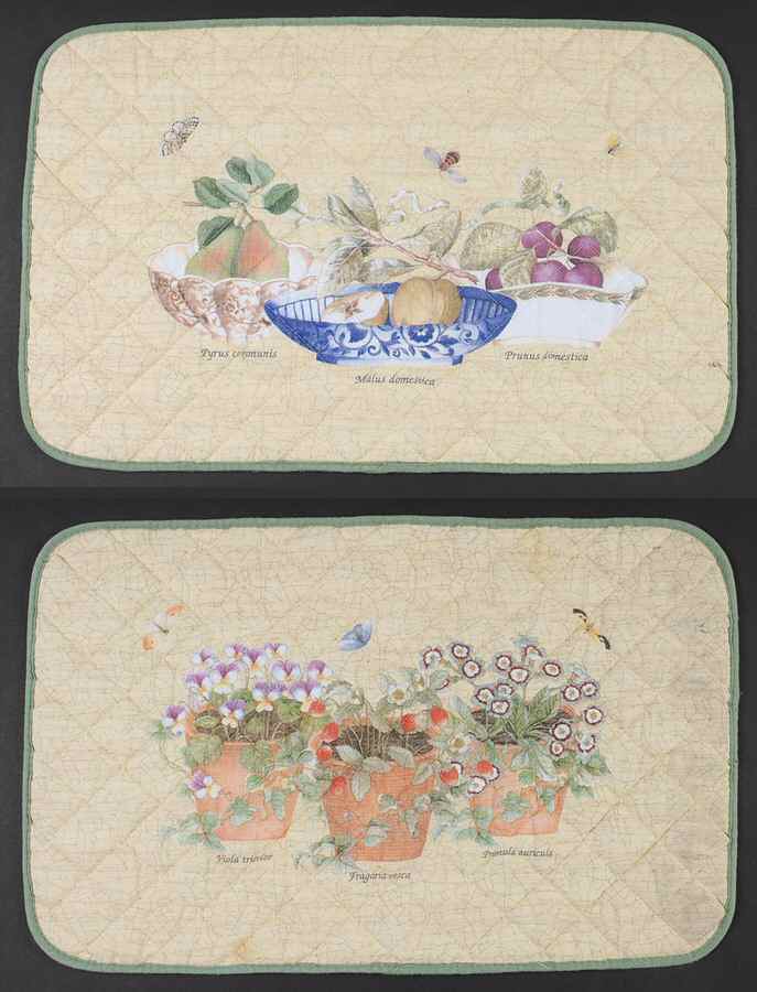 Sarah's Garden Cloth Placemat - Set of 2 by Wedgwood-1