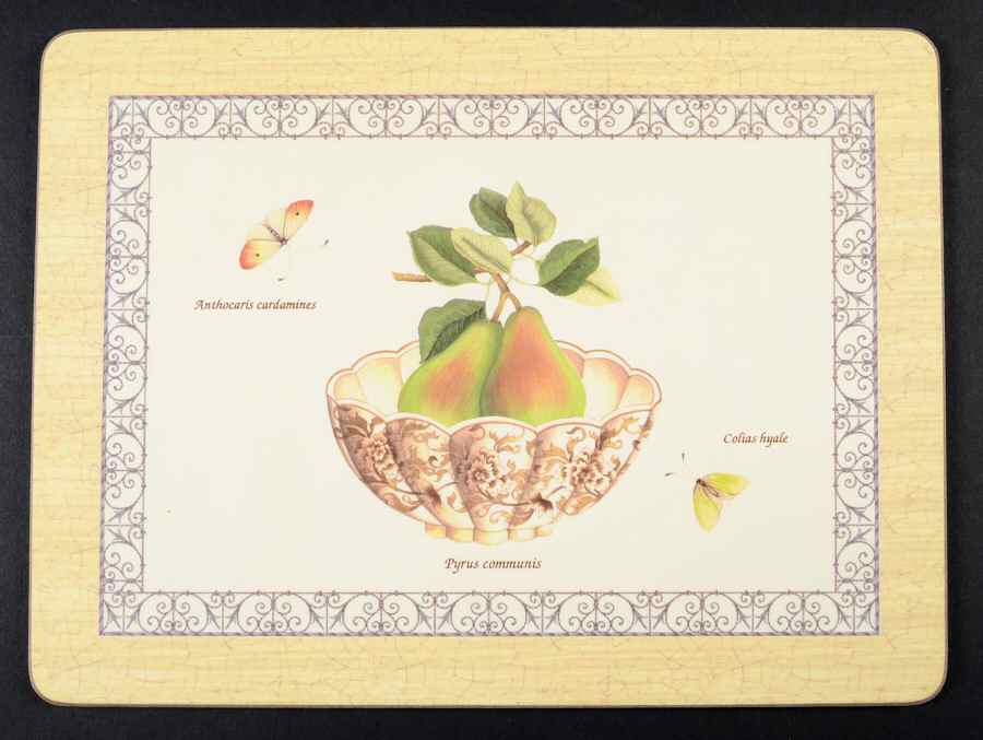 Sarah's Garden Small Corkboard Placemat by Wedgwood-1