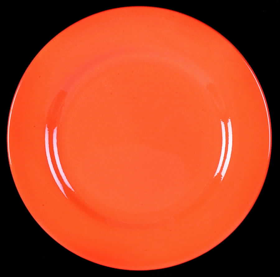 Fun Factory Freestyle Orange (Germany) Dinner Plate by Waechtersbach-1