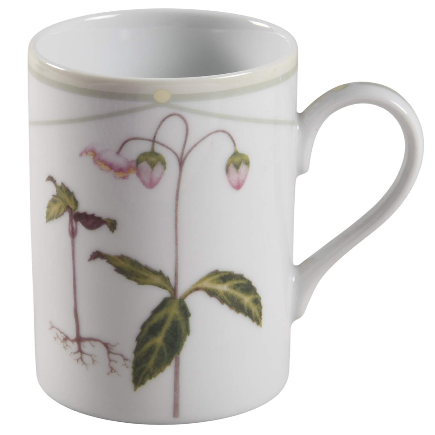 North American Wildflowers Mug by Woodmere-1