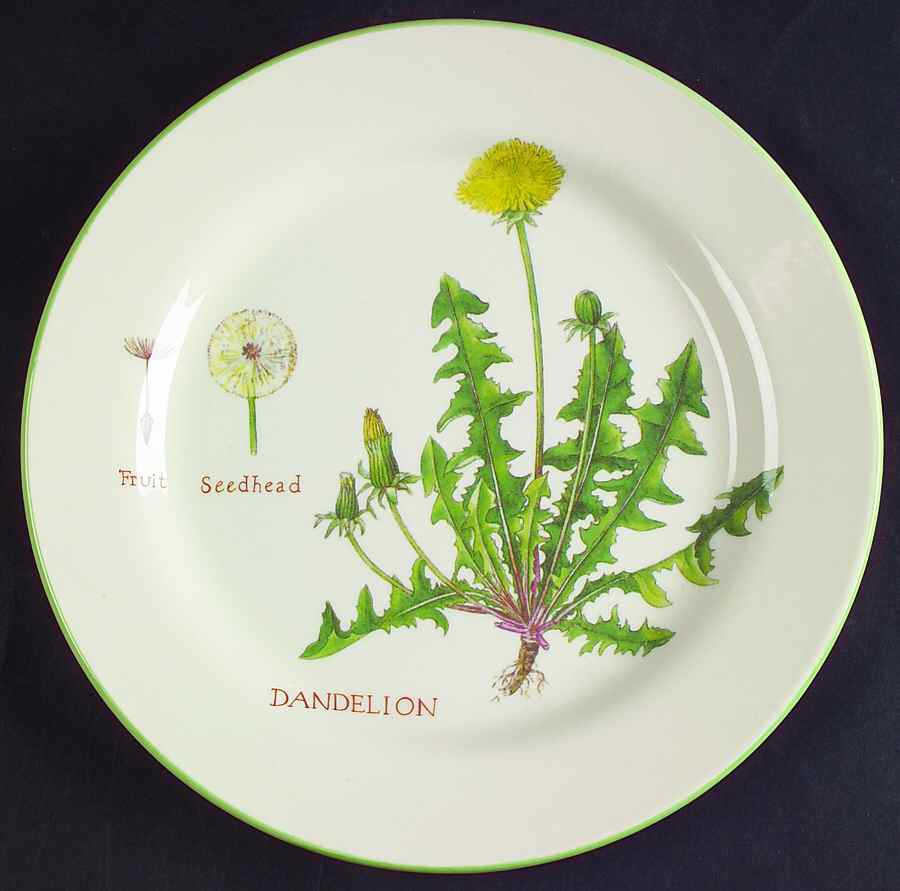 Culinary Herbs Luncheon Plate by Williams-Sonoma-1