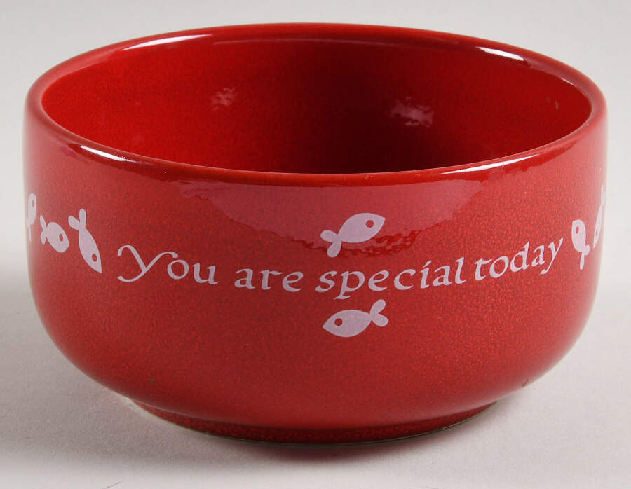 You Are Special Today Cat Bowl by Waechtersbach-1