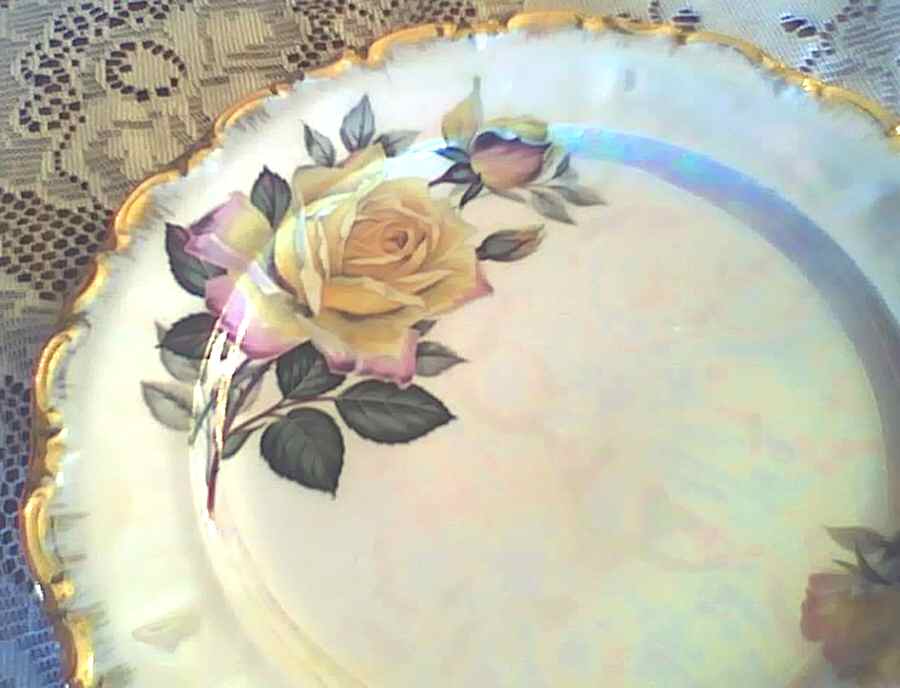 FNE8 Dinner Plate by Franz Neukirchner-1