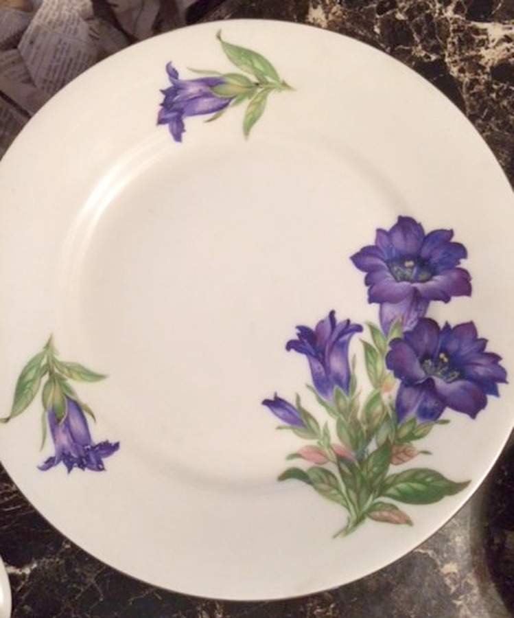 Enzian Salad Plate by Walkure Bayreuth-1