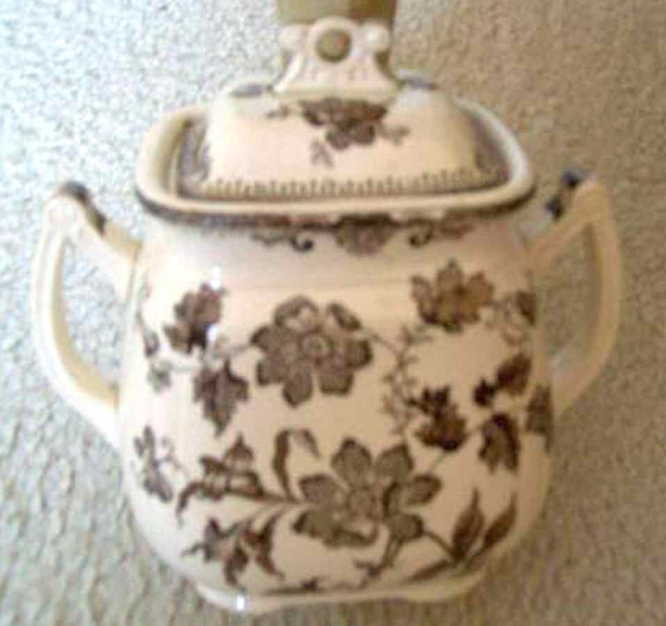 Chinese Plant Brown Sugar Bowl & Lid by J F Wileman-1