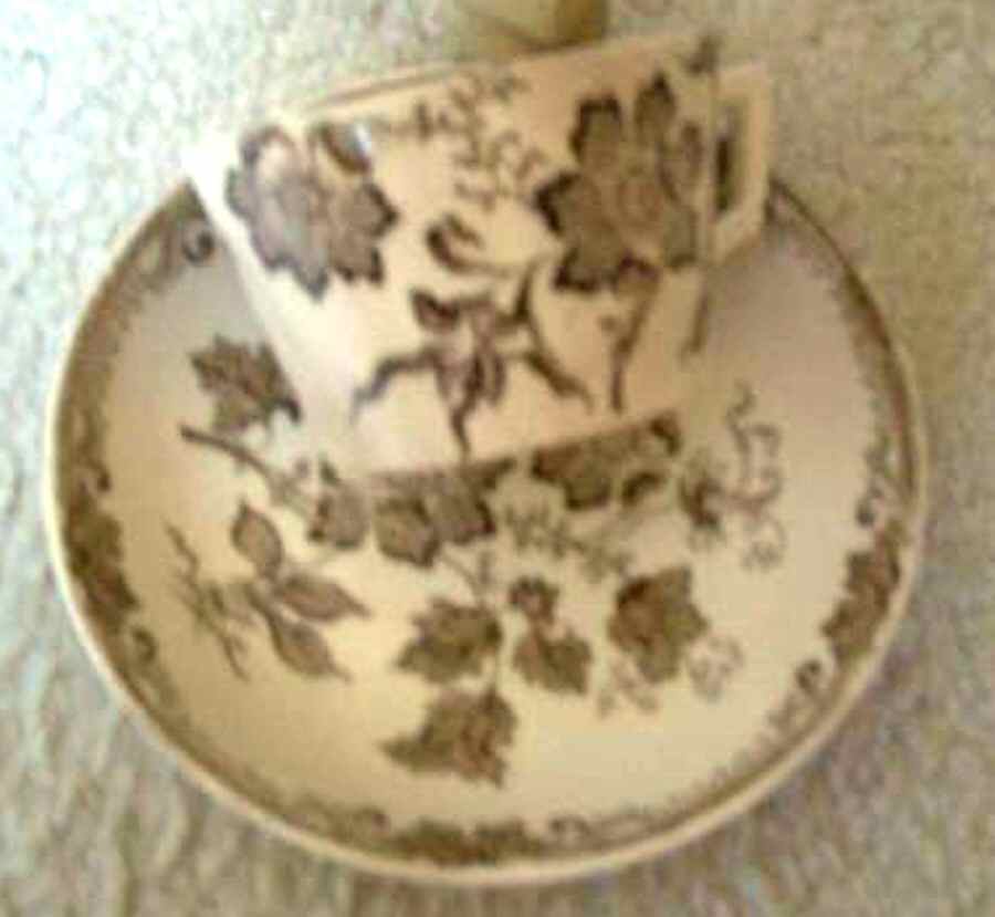 Chinese Plant Brown Flat Cup & Saucer Set by J F Wileman-1