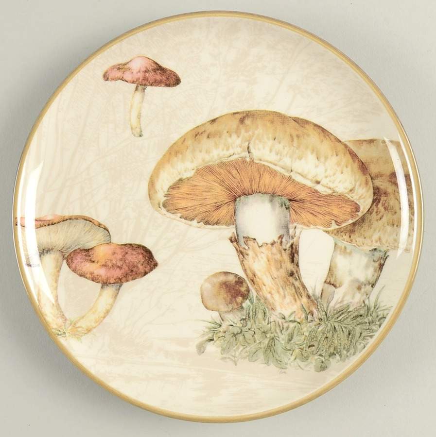 Harvest Botanical Salad Plate by Williams-Sonoma-1