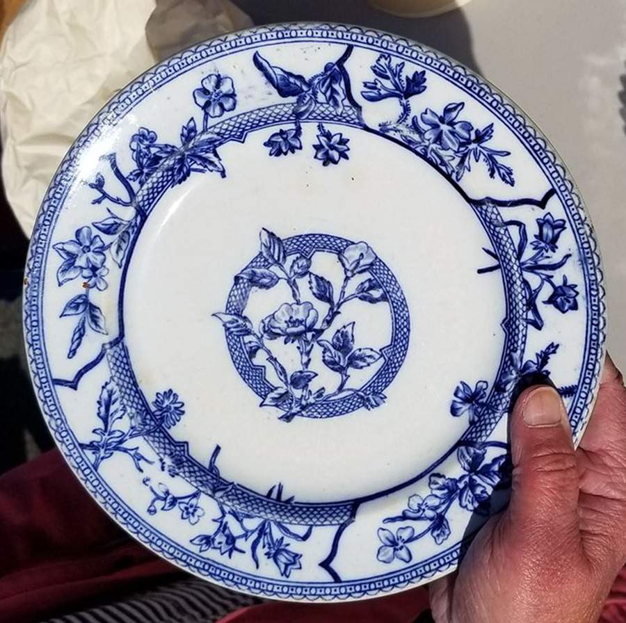 Wild Flowers Blue Dinner Plate by J F Wileman-1