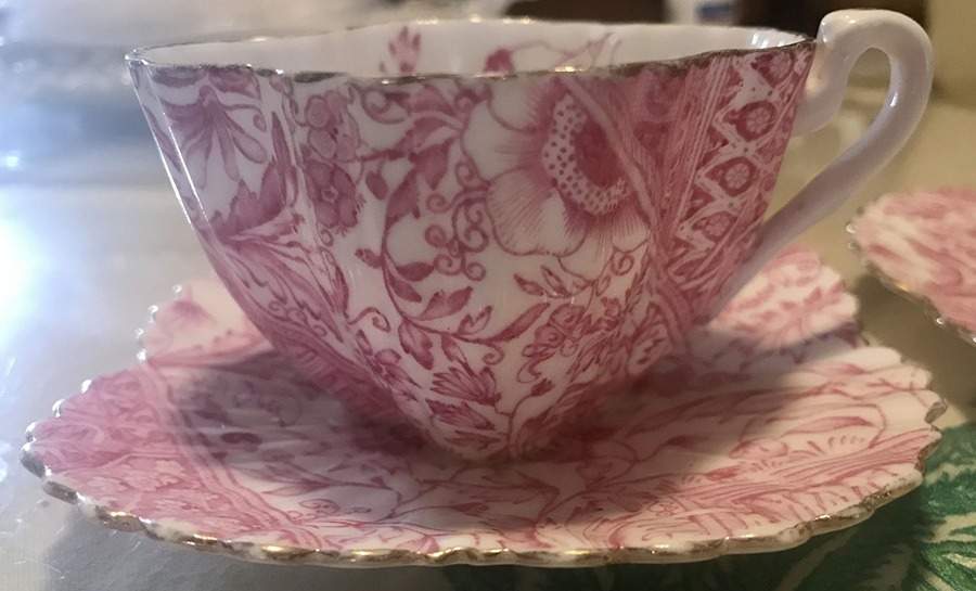 3745 Flat Cup & Saucer Set by J F Wileman-1