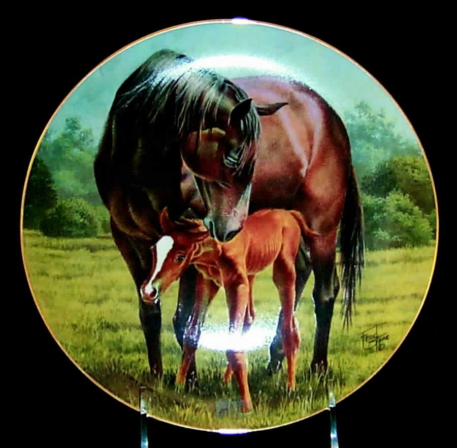 Mare and Foal 2 The First Day - No Box by American Artists-1