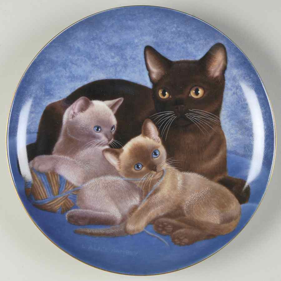 Cat Portraits Burmese And Kittens - Boxed by Bing & Grondahl-1