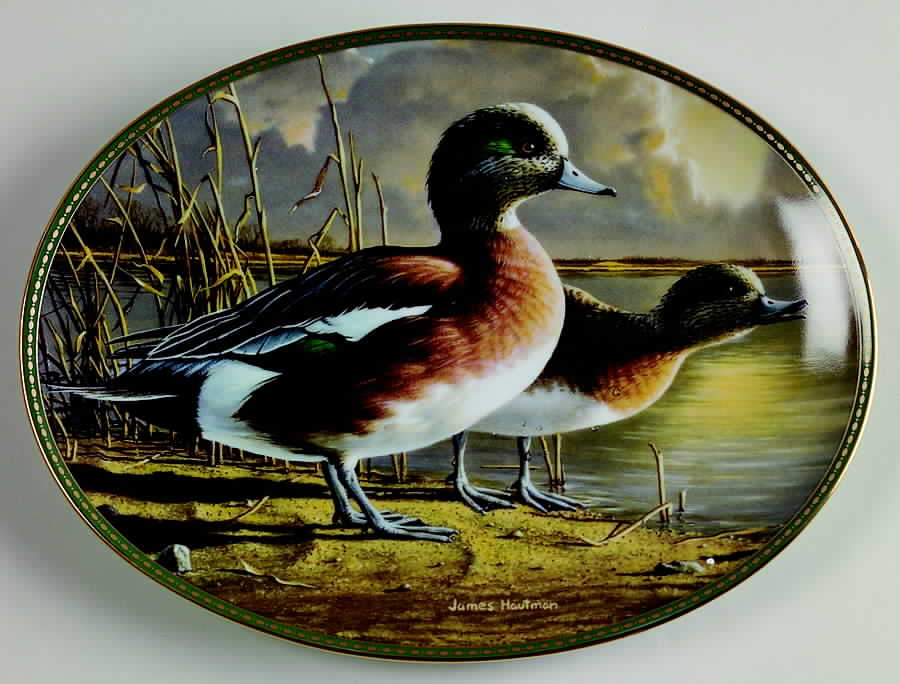 Classic Waterfowl American Wigeon: Twilight - No Box by Bradford Exchange-1
