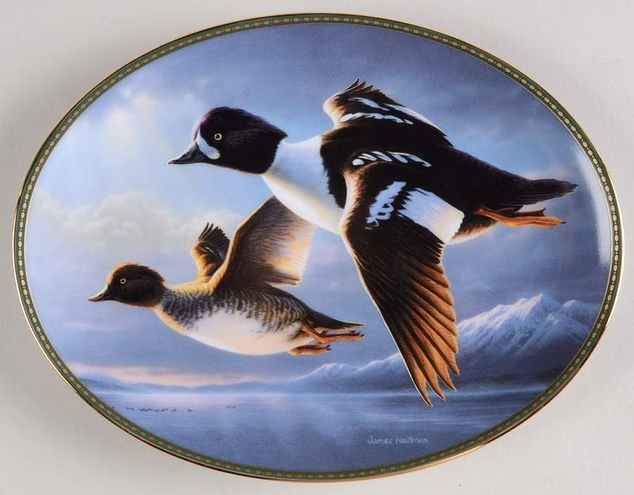 Classic Waterfowl Goldeneyes: Placid Crossing - No Box by Bradford Exchange-1