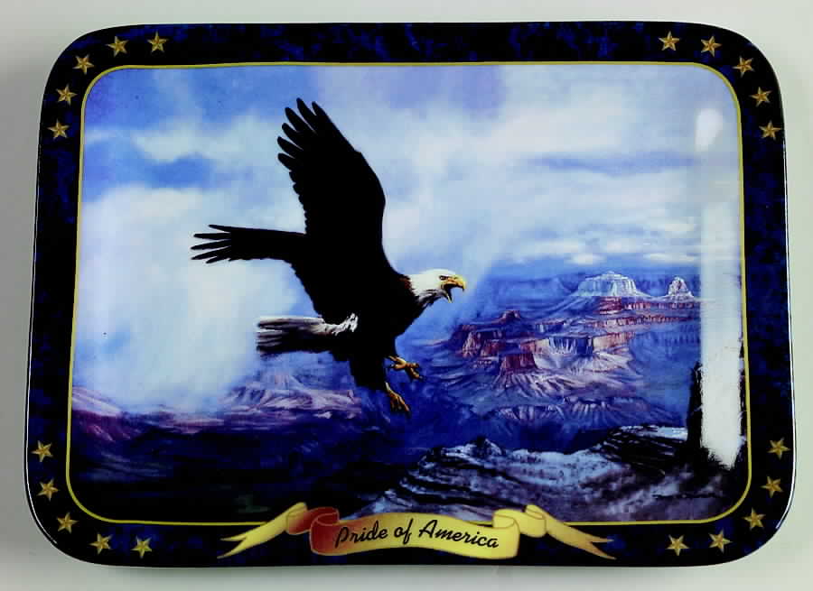 Wings of Glory Pride Of America - No Box by Bradford Exchange-1