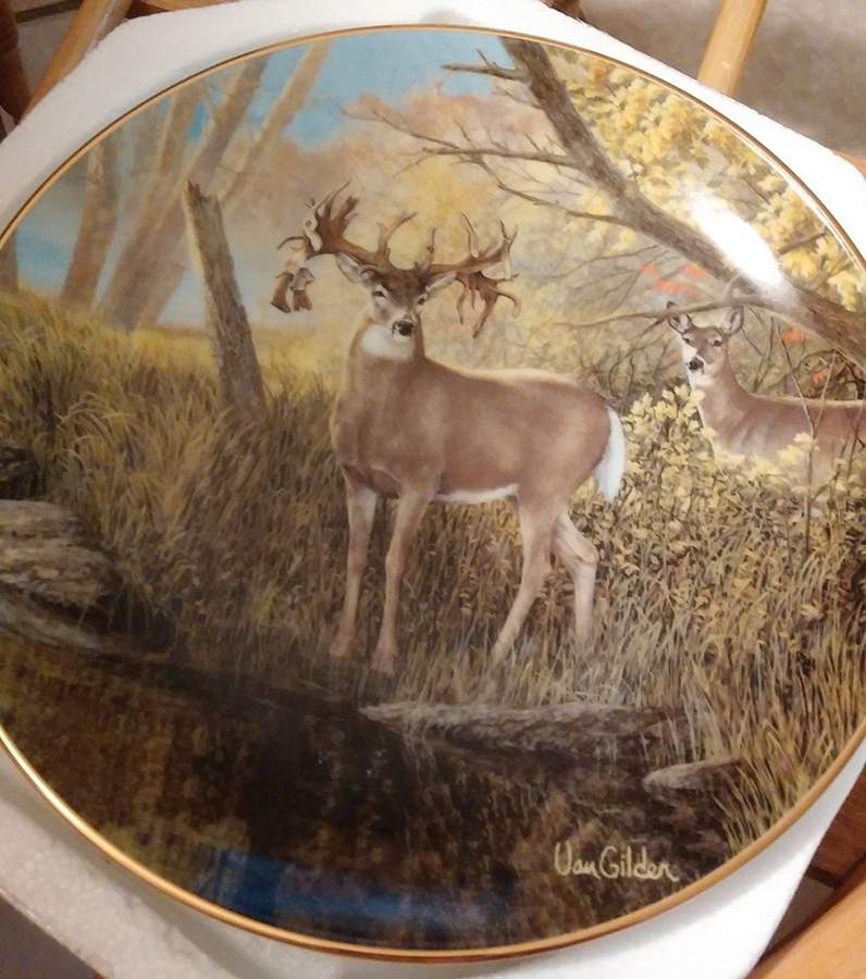 World Record Whitetails Hole In The Horn Buck - No Box by Bradford Exchange-1