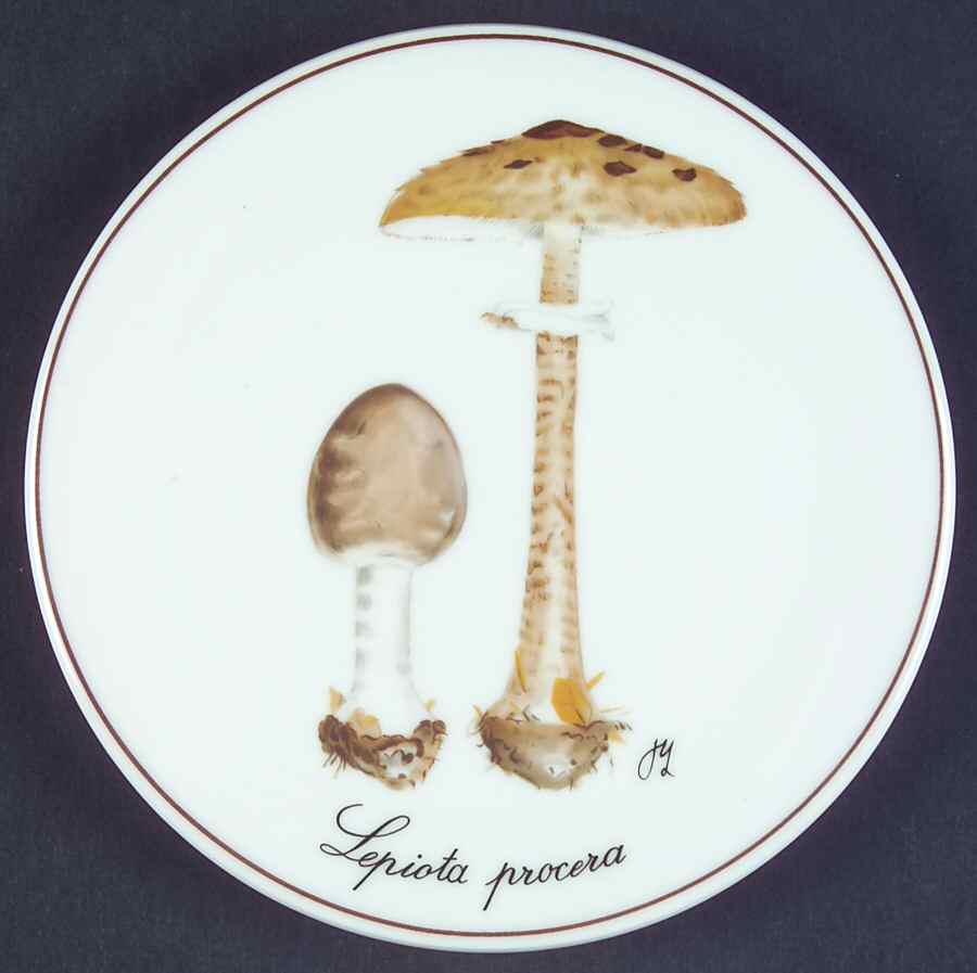 Bing & Grondahl Giftware Lepiota Procera Mushroom - No Box by Bing & Grondahl-1