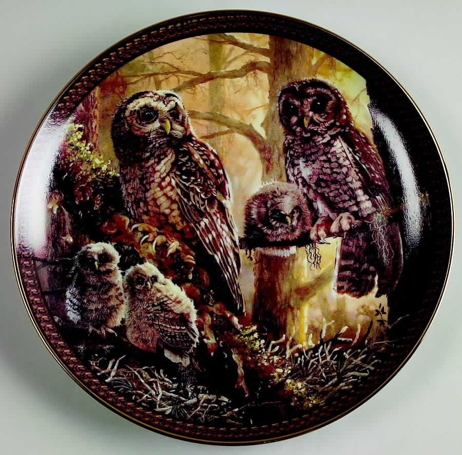 Family Circles Spotted Owl Family - No Box by Bradford Exchange-1