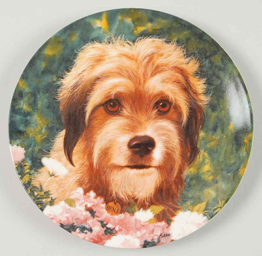 Wags To Riches Benji The Movie Star - No Box by Creative World-1