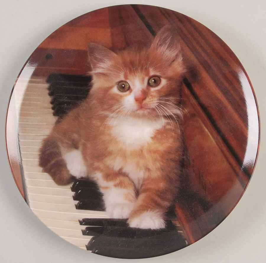 Picture Purrfect Kitten On The Keys - No Box by Crestley-1