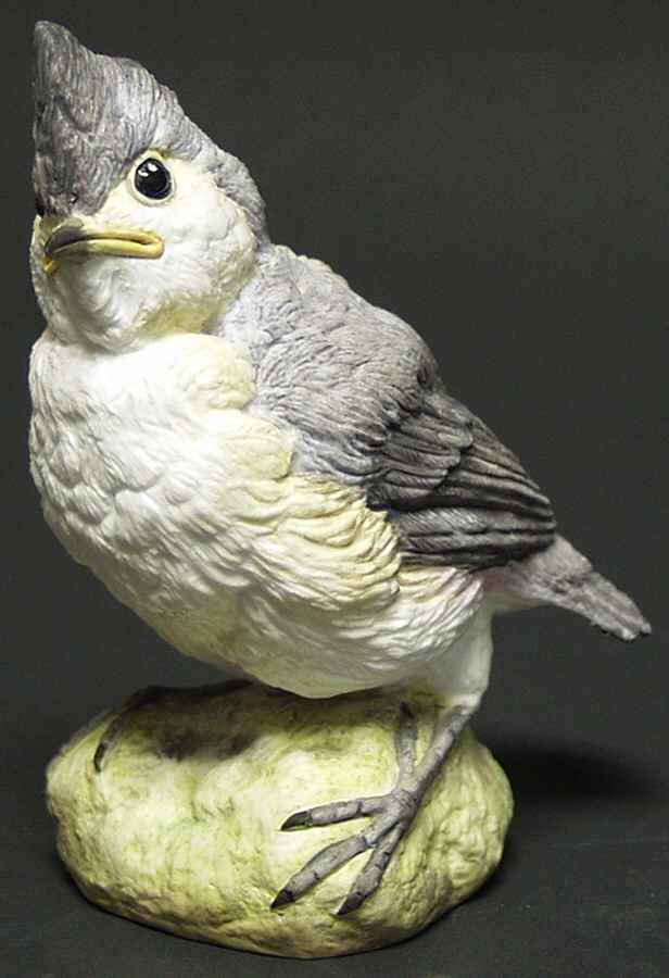 Fledglings of North America Tufted Titmouse - No Box by Connoisseur-Malvern-1