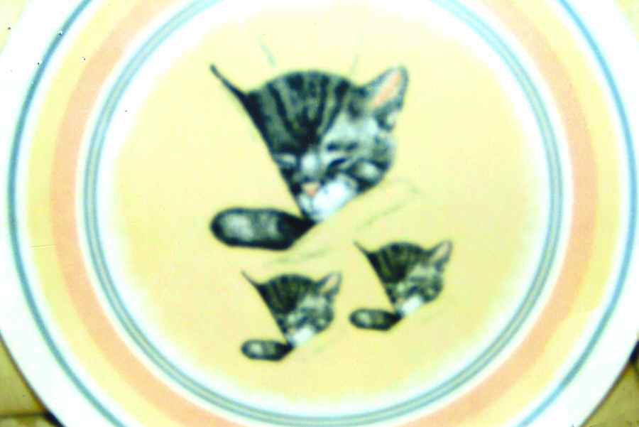 Chessie Collection-Golden Anniversary Chessie & Kittens - Boxed by Chessie System-1