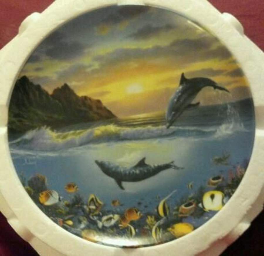 Coral Kingdoms Sunset Serenade - No Box by Crestley-1