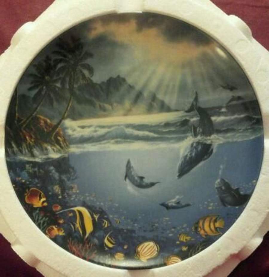 Coral Kingdoms Daybreak Delight - No Box by Crestley-1