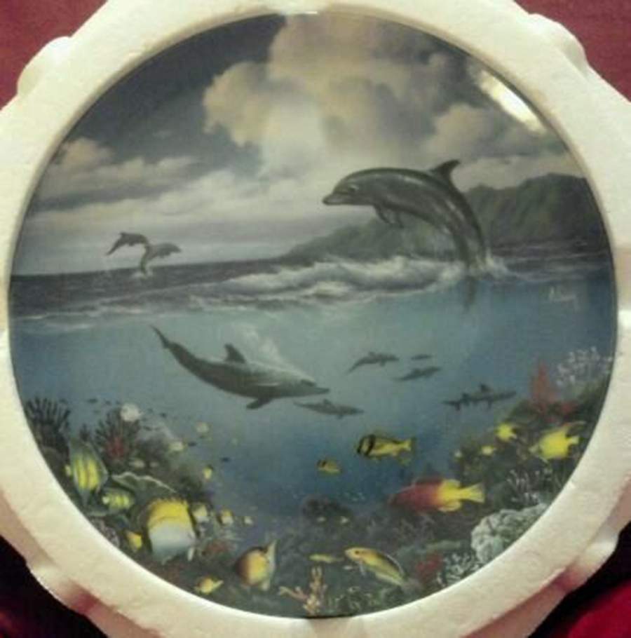 Coral Kingdoms Morning Enchantment - No Box by Crestley-1
