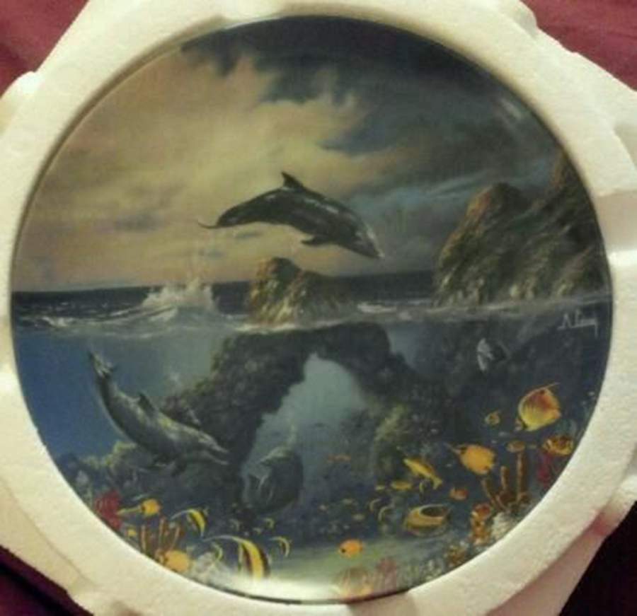 Coral Kingdoms Afternoon Frolic - No Box by Crestley-1