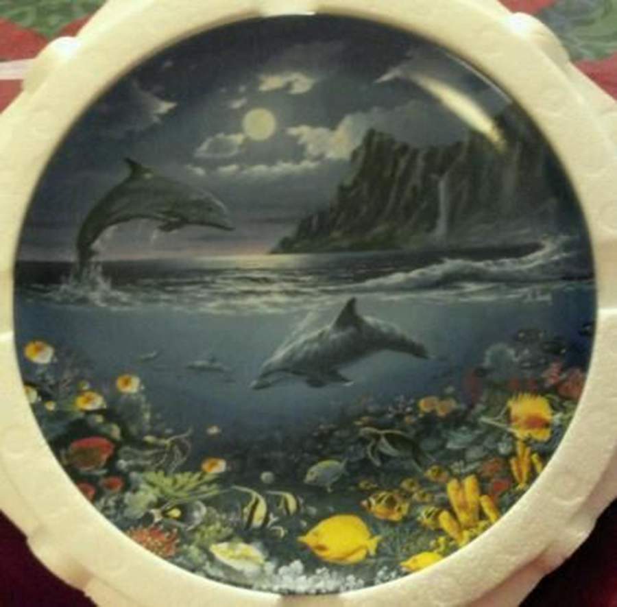 Coral Kingdoms Moonlight Discovery - No Box by Crestley-1