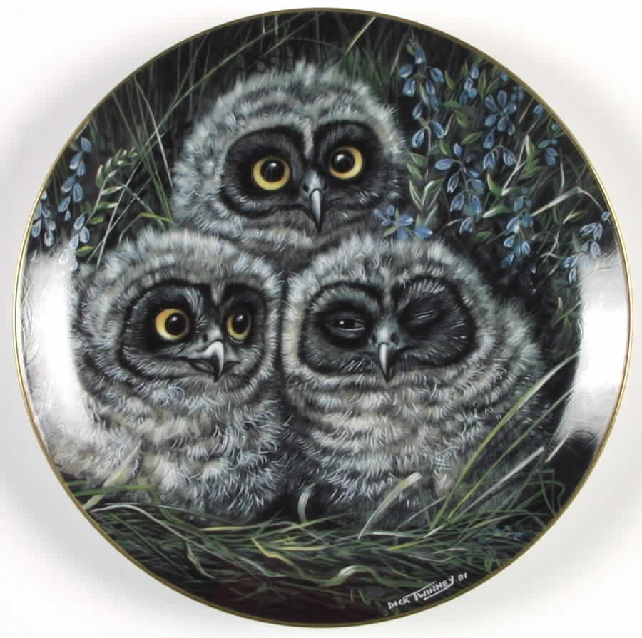 Baby Owl Collection Short-Eared Owls - No Box by Danbury Mint-1