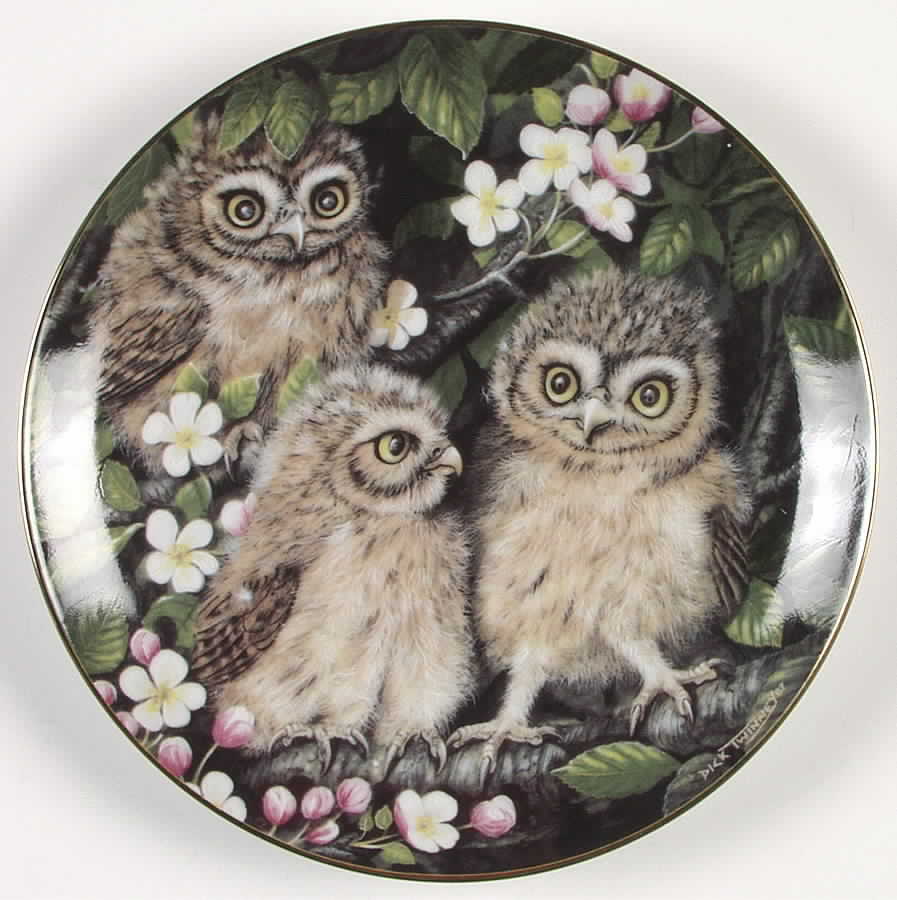 Baby Owl Collection Little Owls - No Box by Danbury Mint-1