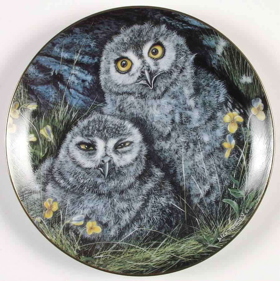 Baby Owl Collection Snowy Owls - No Box by Danbury Mint-1