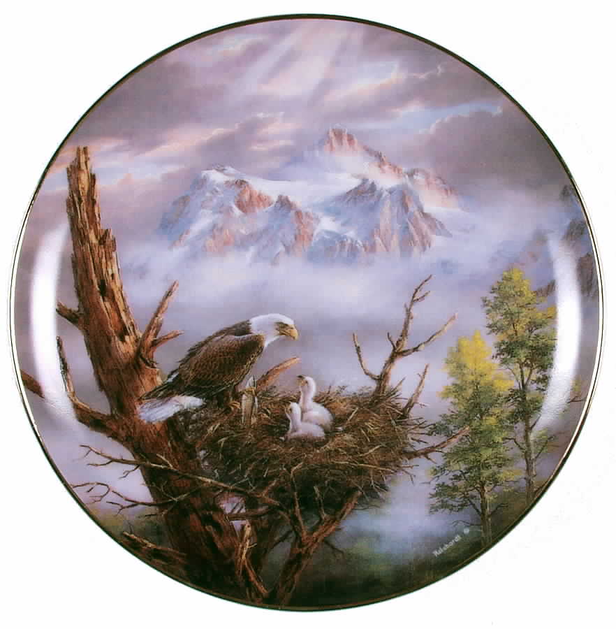 Eagles Across America Pride Of America - No Box by Danbury Mint-1