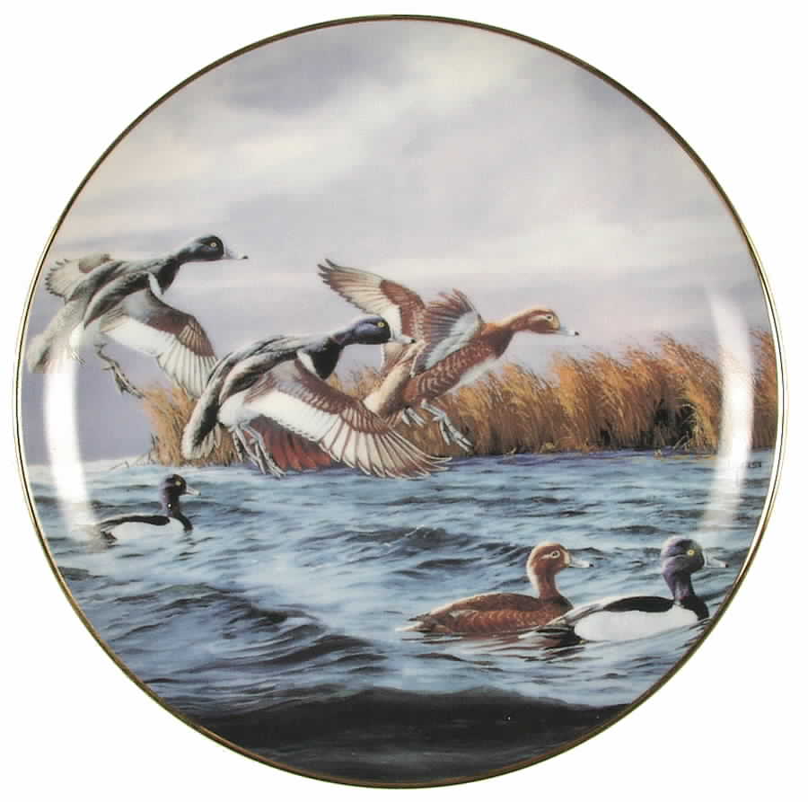 On The Wing Feeding Time - No Box by Danbury Mint-1