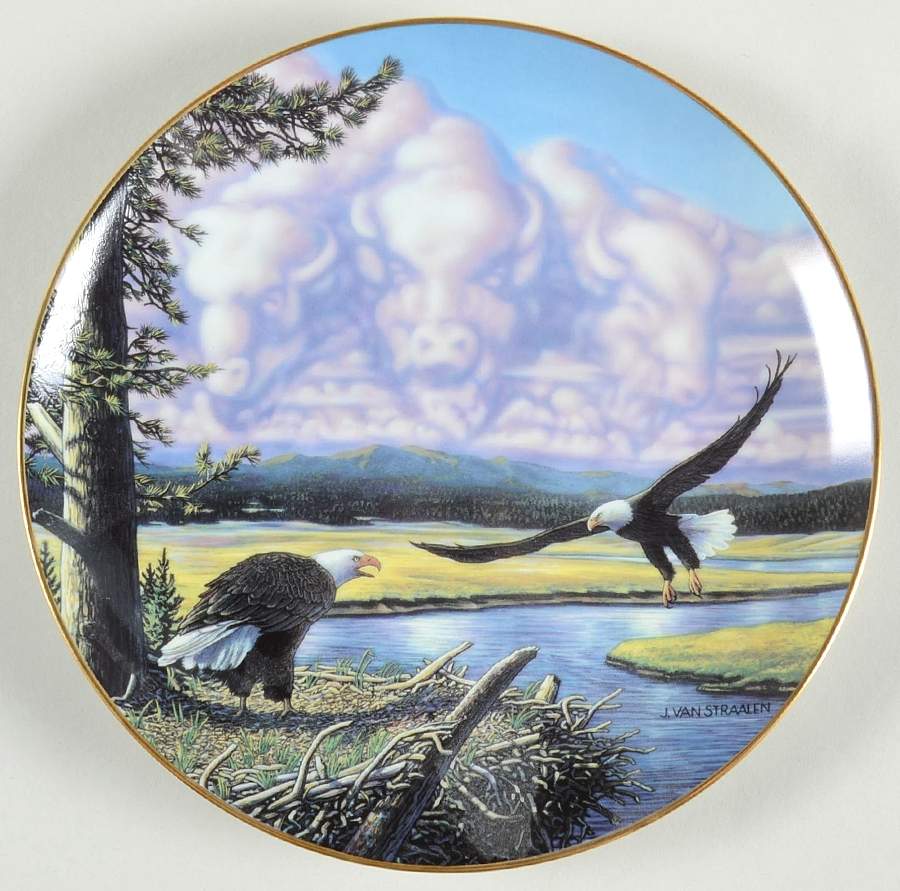 Spirits of The Wild Return To The Plains - No Box by Danbury Mint-1