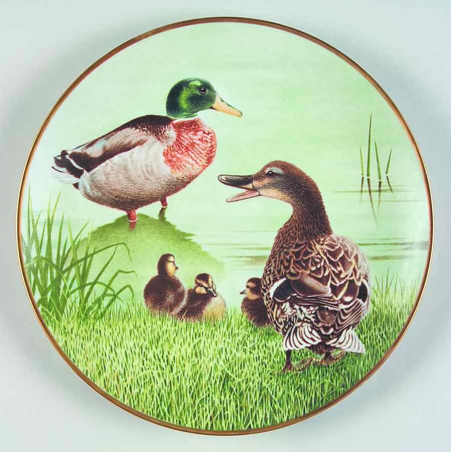 12 Waterbird Plates-The Sumner Collection Mallard - No Box by Danbury Mint-1